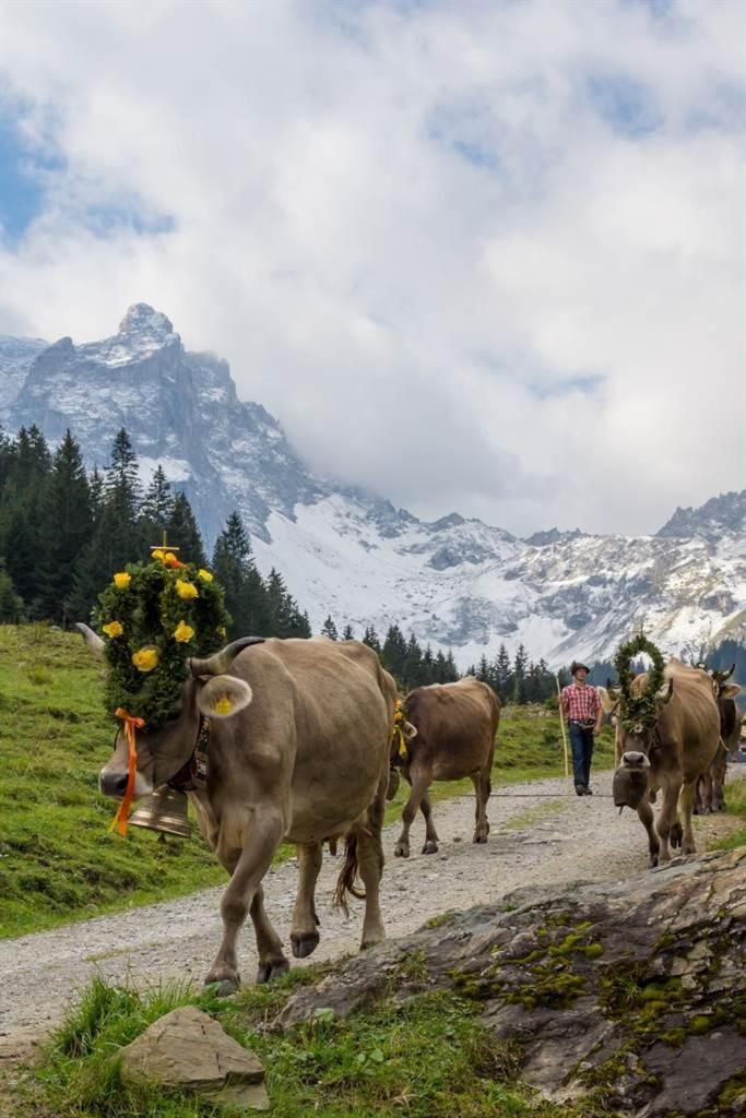 Kapellblick Lägenhet Schruns Exteriör bild